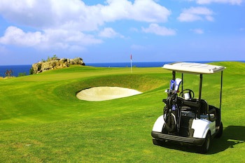 Thunderbird Resorts - Poro Point