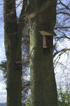 Pitbauchlie House Hotel, Sure Hotel Collection By Bw