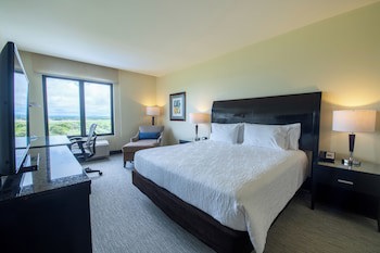 Hilton Garden Inn Guanacaste Airport