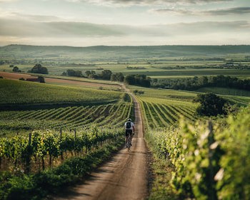 Falkensteiner Balance Resort Stegersbach - Adults Only