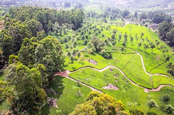 Sterling Munnar