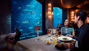 Atlantis, The Palm