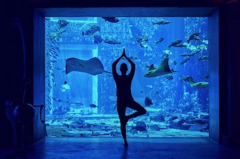 Atlantis, The Palm