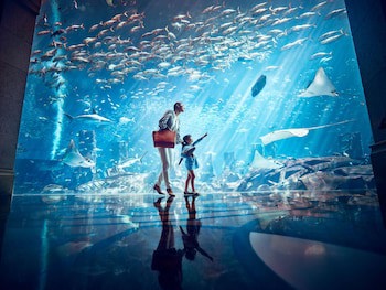 Atlantis, The Palm