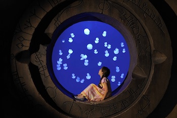 Atlantis, The Palm