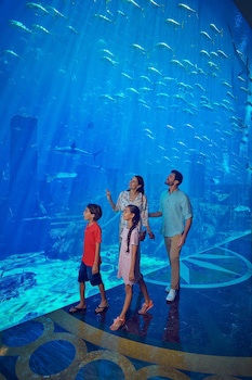 Atlantis, The Palm