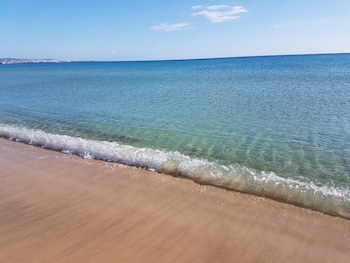 Mehari Hammamet