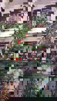 Villa Sphendone Suites