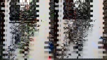 Villa Sphendone Suites