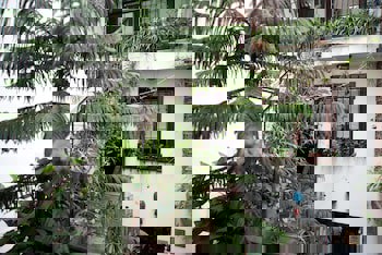 Villa Sphendone Suites