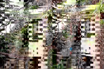 Villa Sphendone Suites