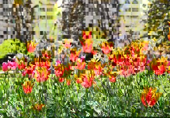 Villa Sphendone Suites