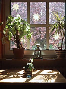 Hotel Rosengarten Kehl fotoğrafı