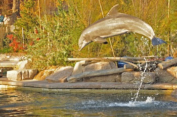 Landhotel Seerose galeri fotoğrafı