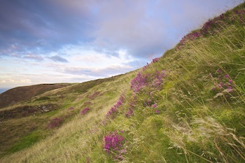 Exmoor White Horse Inn