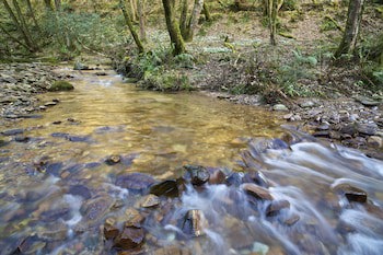 Exmoor White Horse Inn