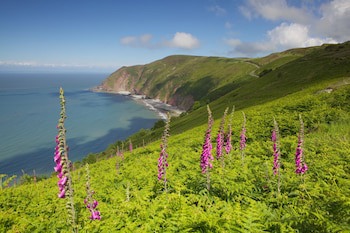 Exmoor White Horse Inn
