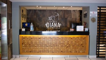 Hotel Diana Del Bosque By Dot Urban