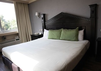 Hotel Diana Del Bosque By Dot Urban