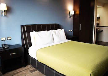 Hotel Diana Del Bosque By Dot Urban