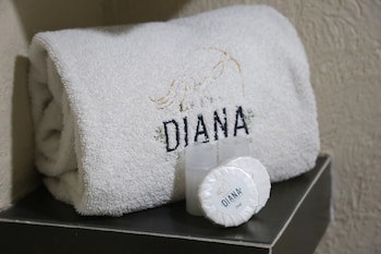 Hotel Diana Del Bosque By Dot Urban