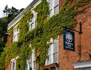 The Mount Pleasant Hotel