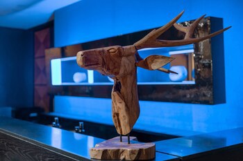 Hotel Ac Baqueira Ski Resort, Autograph Collection