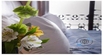 Casa Aspeytia Hotel Boutique