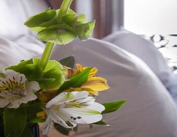 Casa Aspeytia Hotel Boutique