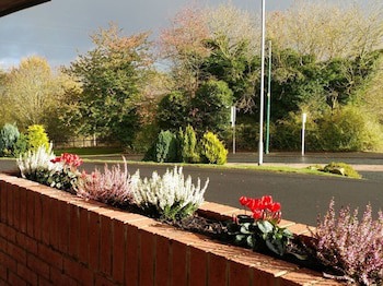 Swan Studios