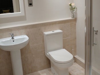 Swan Studios