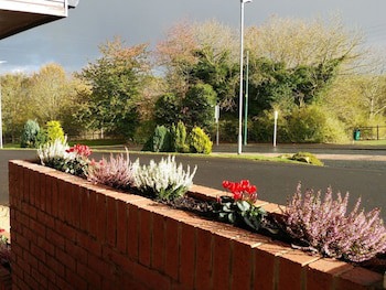 Swan Studios