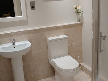Swan Studios