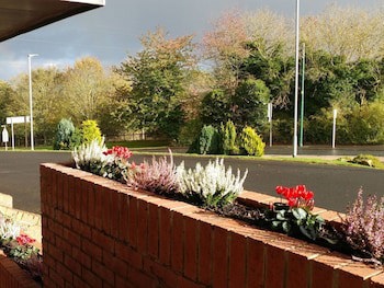 Swan Studios