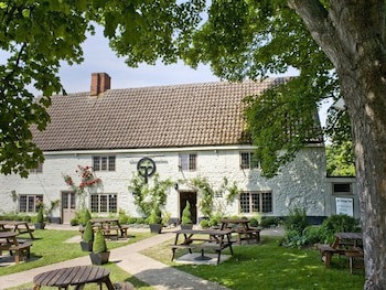 The Orange Tree
