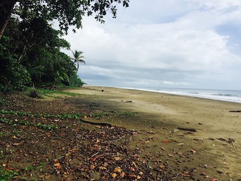 Le Cameleon Puerto Viejo