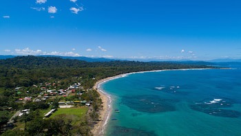 Le Cameleon Puerto Viejo