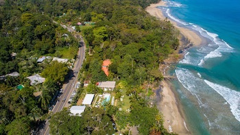 Le Cameleon Puerto Viejo