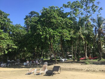 Le Cameleon Puerto Viejo
