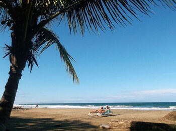 Le Cameleon Puerto Viejo