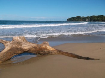 Le Cameleon Puerto Viejo