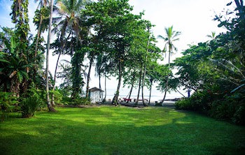Le Cameleon Puerto Viejo