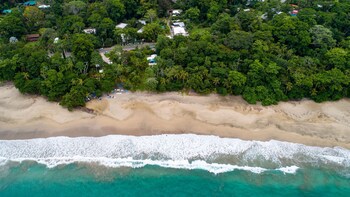 Le Cameleon Puerto Viejo