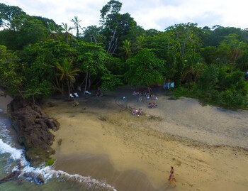 Le Cameleon Puerto Viejo