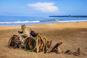 Le Cameleon Puerto Viejo