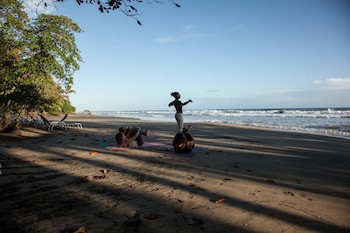 Le Cameleon Puerto Viejo