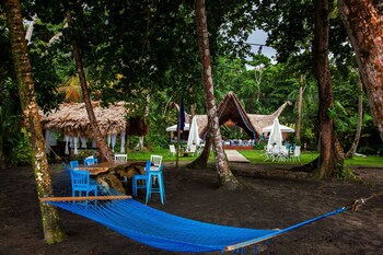 Le Cameleon Puerto Viejo