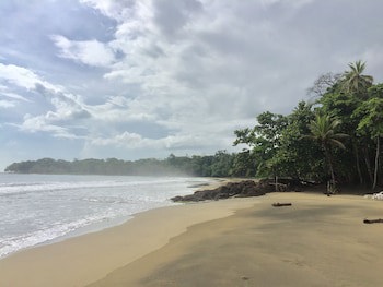 Le Cameleon Puerto Viejo