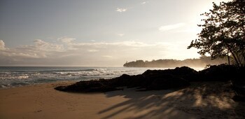 Le Cameleon Puerto Viejo