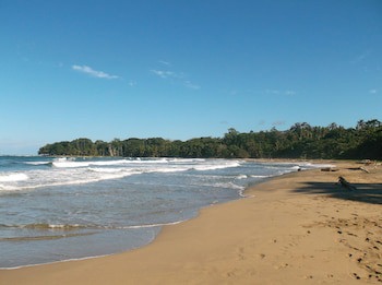 Le Cameleon Puerto Viejo
